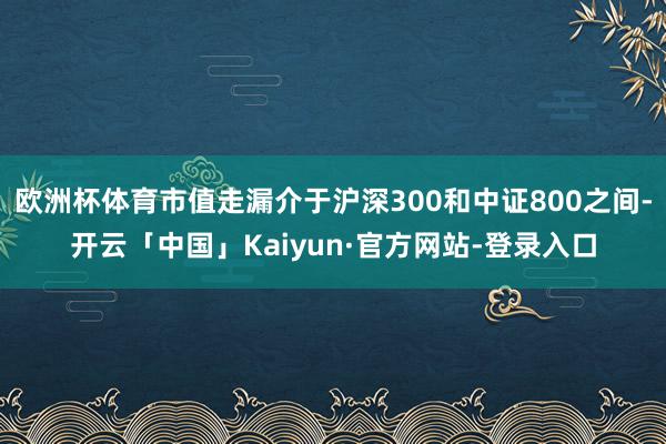 欧洲杯体育市值走漏介于沪深300和中证800之间-开云「中国」Kaiyun·官方网站-登录入口