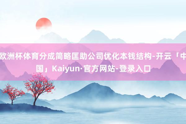 欧洲杯体育分成简略匡助公司优化本钱结构-开云「中国」Kaiyun·官方网站-登录入口