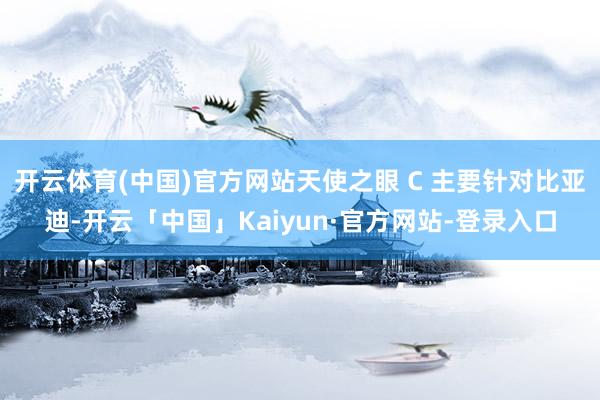 开云体育(中国)官方网站天使之眼 C 主要针对比亚迪-开云「中国」Kaiyun·官方网站-登录入口