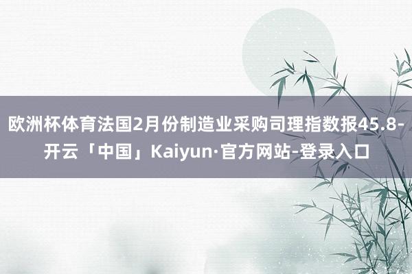 欧洲杯体育法国2月份制造业采购司理指数报45.8-开云「中国」Kaiyun·官方网站-登录入口