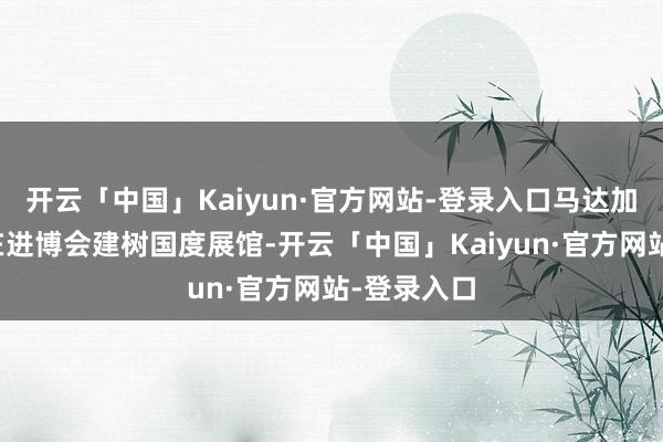 开云「中国」Kaiyun·官方网站-登录入口马达加斯加初次在进博会建树国度展馆-开云「中国」Kaiyun·官方网站-登录入口