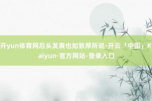 开yun体育网后头发展也如敦厚所说-开云「中国」Kaiyun·官方网站-登录入口