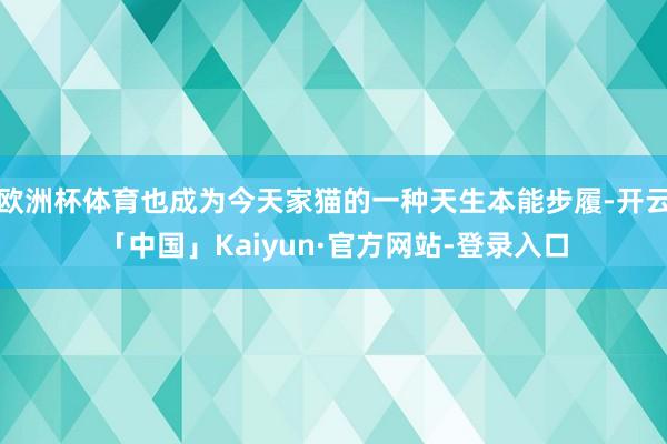 欧洲杯体育也成为今天家猫的一种天生本能步履-开云「中国」Kaiyun·官方网站-登录入口